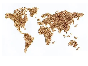 UN report: Pandemic year marked by spike in world hunger