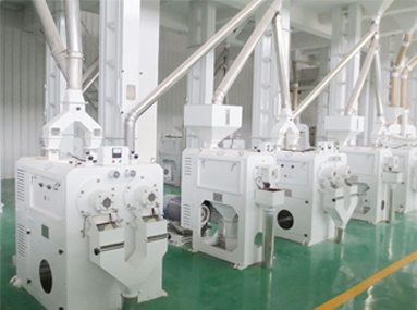Vietnam 100 tpd rice production line