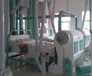 500kg per hour pistachios nut sorting machine
