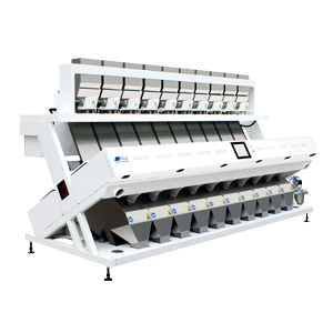 Wheat Sorting Machine with 20tons Per Hour Capacity
