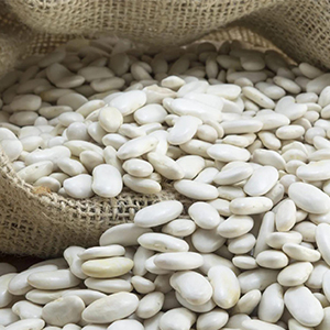 Color Sorting for White Kidney Beans